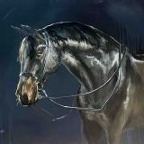Untitled_Myrto Kapnisti